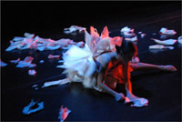 Performance-Art-by-Renata-Sheppard
