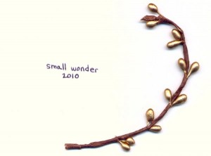 Small Wonder 2010
