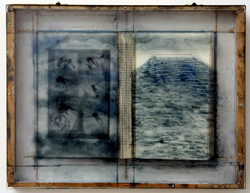 Elementary Diving, Grace K. A. Teeples