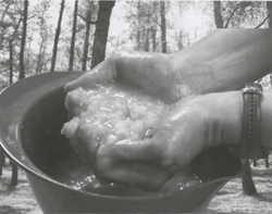 Colleen Billing, Untitled 2 (from the Beauty Apothecary series), 2012