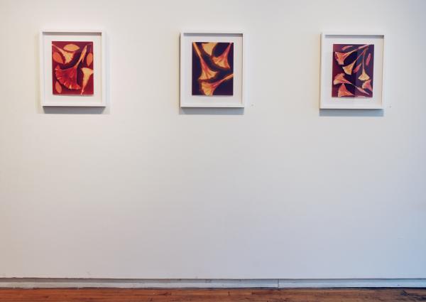 Exhibition Image