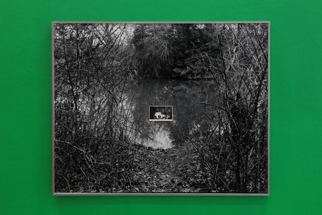 Photo courtesy of David Hale