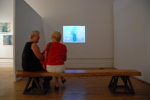Exhibition Image
