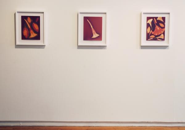 Exhibition Image