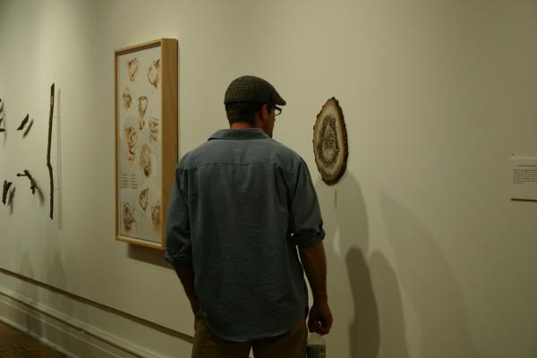 Exhibition Image