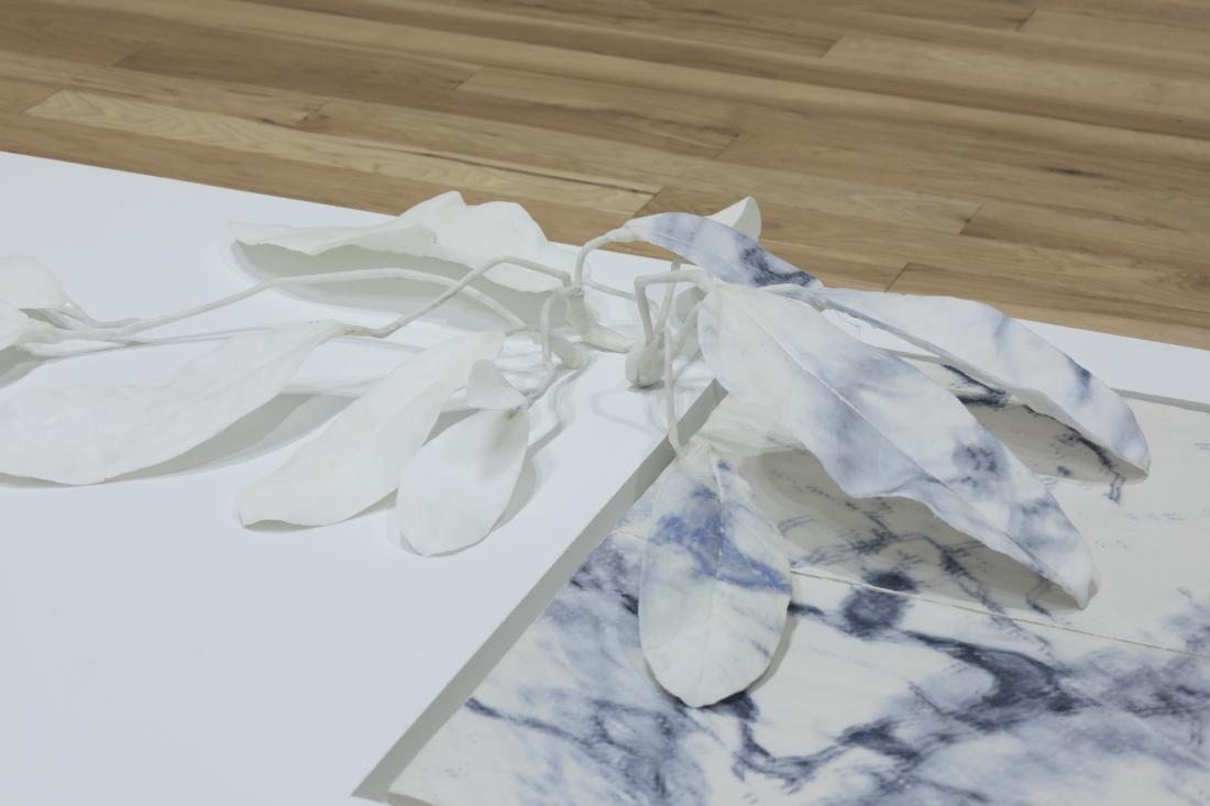 Exhibition Image
