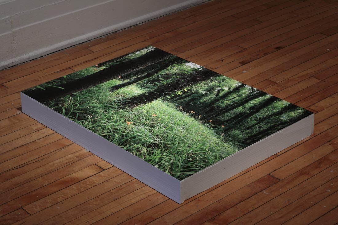 Untitled: East End, 2015. Digital Print on vinyl mounted on wood.