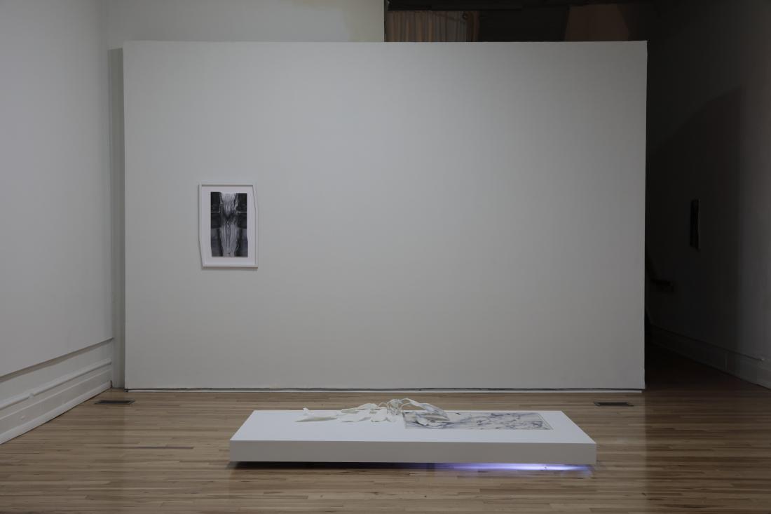 Exhibition Image