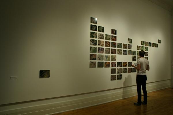 Exhibition Image